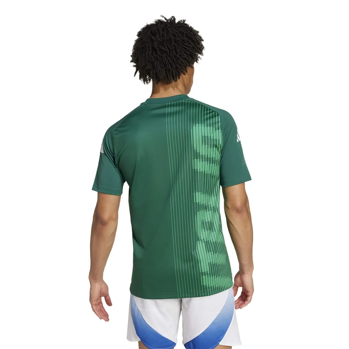 adidas Men's Italy Pre-Match Jersey | IW7950