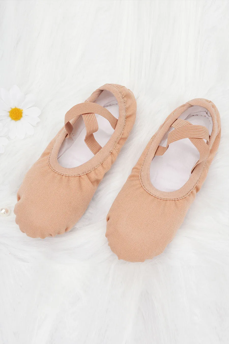 Adult Stretch Canvas Ballet Shoes