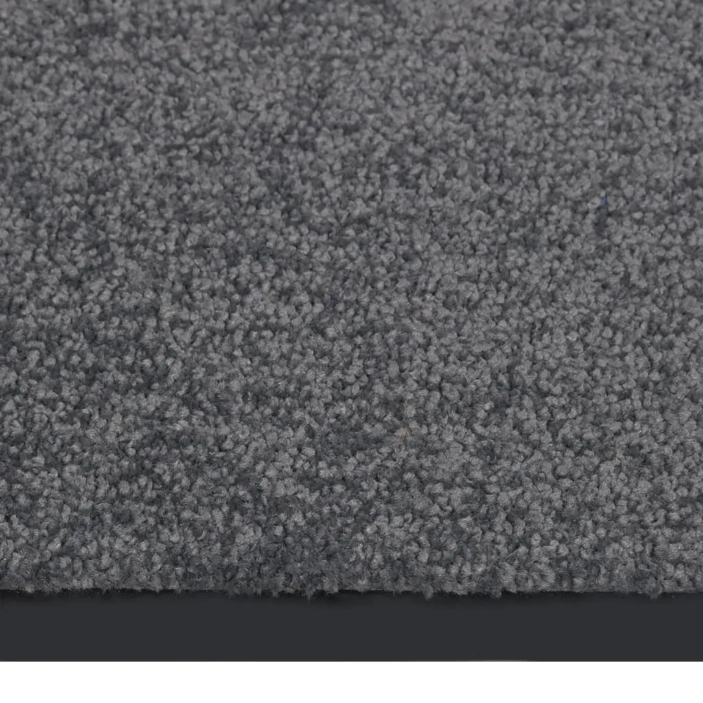 Doormat  Anthracite 40x60 cm