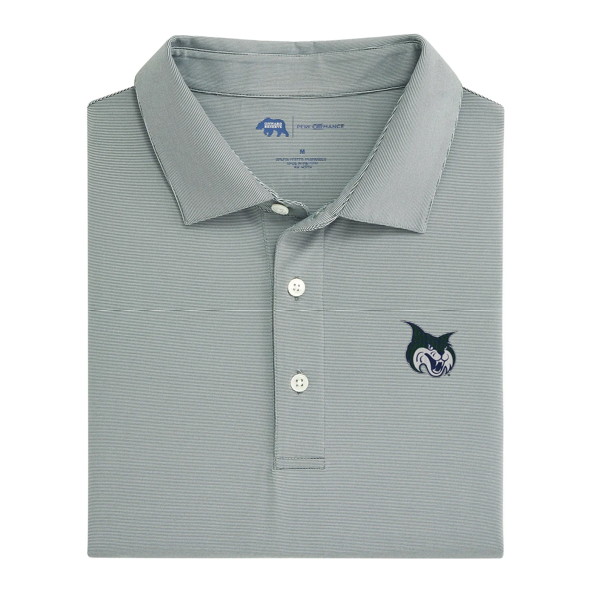 Hairline Stripe GCSU Performance Polo