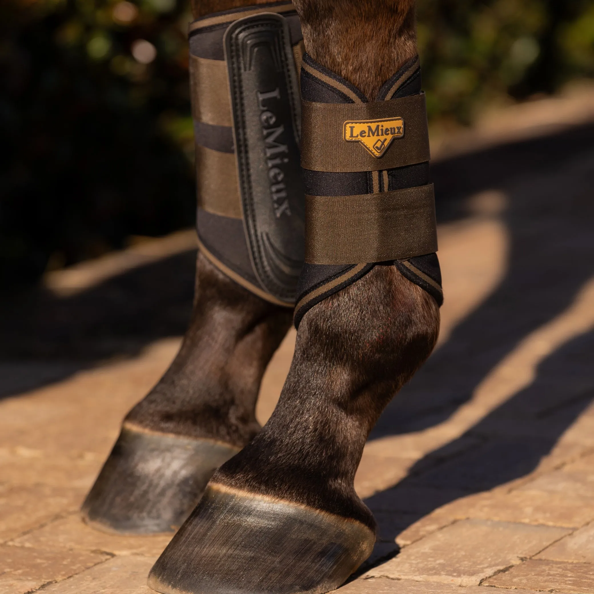 LeMieux Grafter Boots