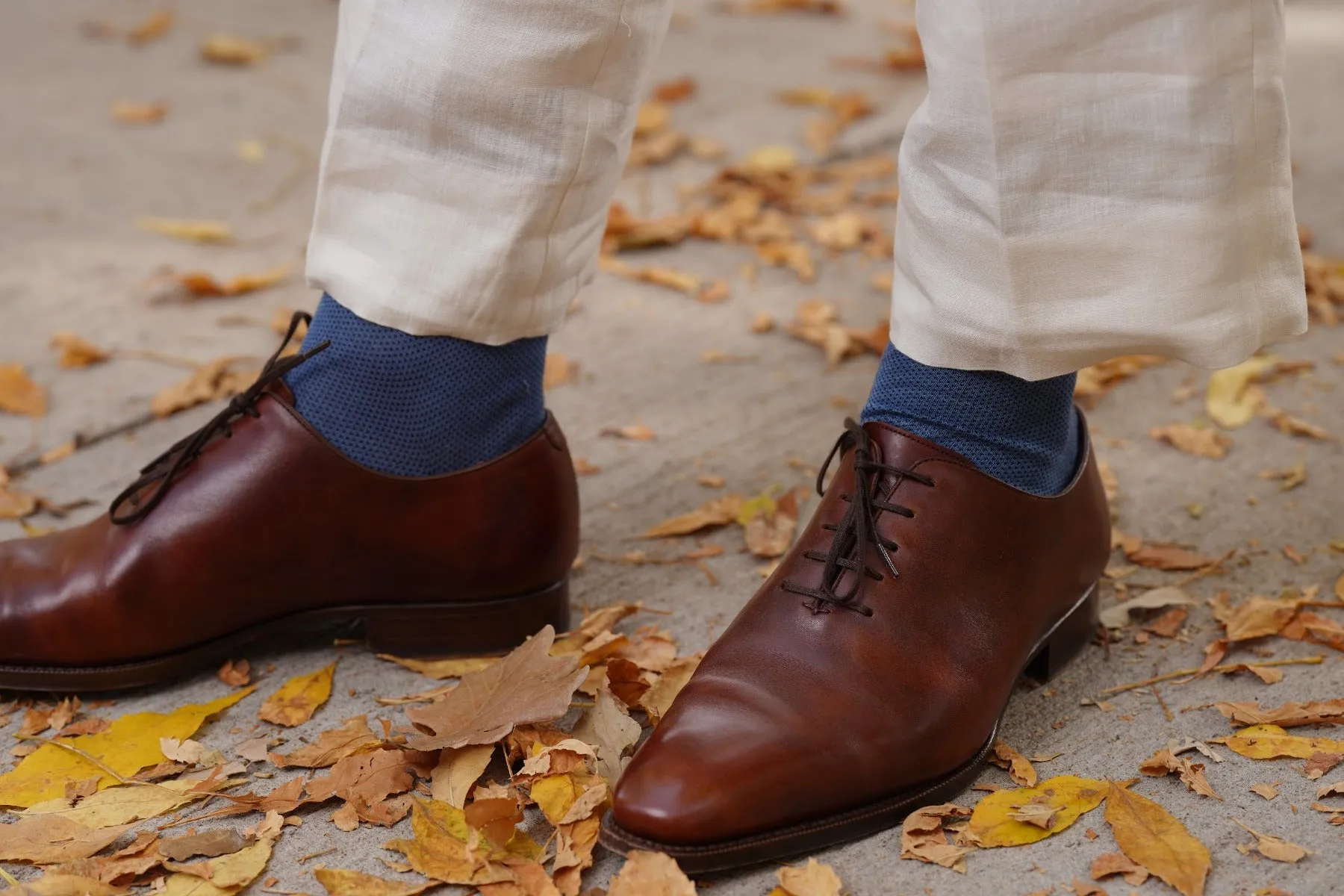 Navy Blue & Royal Blue Two-Tone Solid Socks