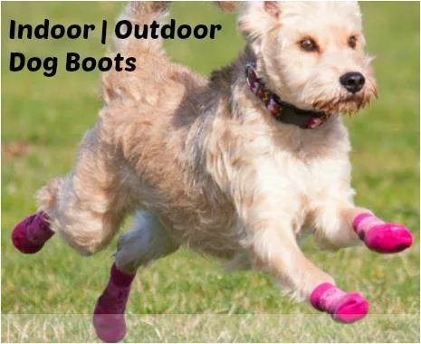 RC Pets Sport PAWks Anti-Slip Dog Socks